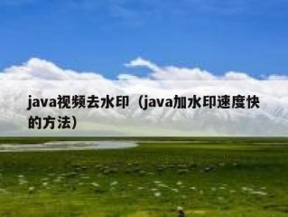 java视频去水印（java加水印速度快的方法）