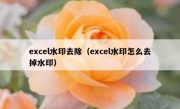 excel水印去除（excel水印怎么去掉水印）