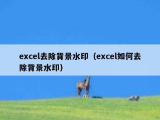 excel去除背景水印（excel如何去除背景水印）