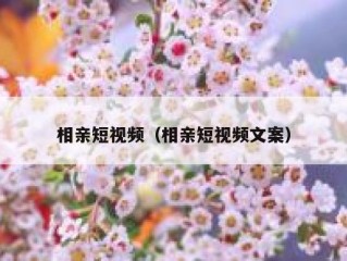 相亲短视频（相亲短视频文案）