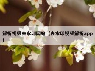 解析视频去水印网站（去水印视频解析app）