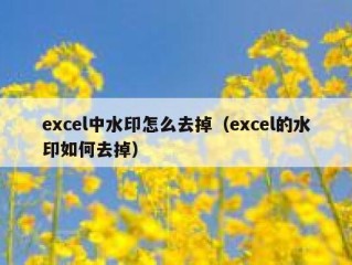 excel中水印怎么去掉（excel的水印如何去掉）