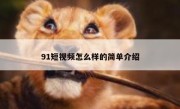 91短视频怎么样的简单介绍