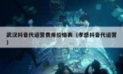 武汉抖音代运营费用价格表（孝感抖音代运营）