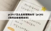 pr2017怎么去除视频水印（pr2021如何去除视频水印）