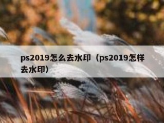 ps2019怎么去水印（ps2019怎样去水印）