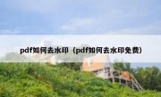 pdf如何去水印（pdf如何去水印免费）