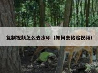 复制视频怎么去水印（如何去粘贴视频）