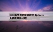 pexels免费短视频素材（pexels免费视频素材网）