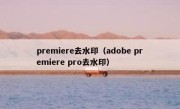 premiere去水印（adobe premiere pro去水印）