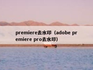 premiere去水印（adobe premiere pro去水印）