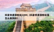 抖音快速涨粉丝1000（抖音快速涨粉丝是怎么做到的）