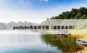 youtube去水印下载（油管去水印）