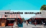 扬州bgp高防服务器（国内高防bgp服务器）