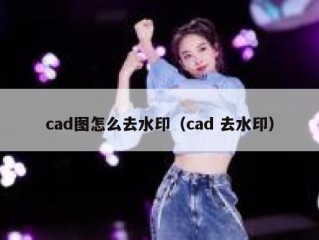 cad图怎么去水印（cad 去水印）