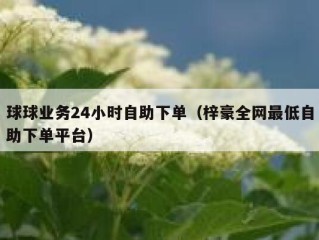 球球业务24小时自助下单（梓豪全网最低自助下单平台）