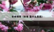 补单频率（补单 是什么意思）