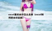 excel里的水印怎么去掉（excel如何把水印去掉）