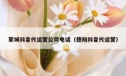 蒙城抖音代运营公司电话（德阳抖音代运营）