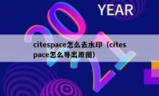 citespace怎么去水印（citespace怎么导出原图）