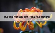 求点赞关注的幽默句子（求关注点赞的文案）