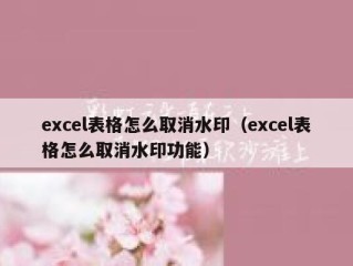 excel表格怎么取消水印（excel表格怎么取消水印功能）