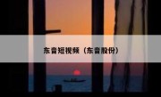 东音短视频（东音股份）