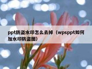 ppt防盗水印怎么去掉（wpsppt如何加水印防盗图）