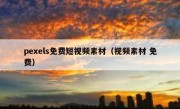 pexels免费短视频素材（视频素材 免费）