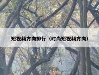 短视频方向排行（时尚短视频方向）