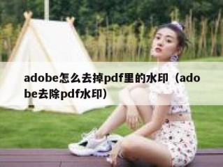 adobe怎么去掉pdf里的水印（adobe去除pdf水印）