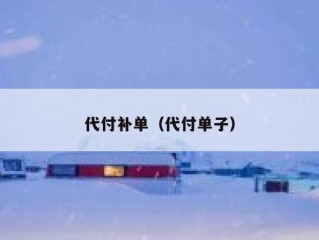 代付补单（代付单子）