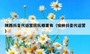 陕西抖音代运营团队哪里有（榆林抖音代运营）