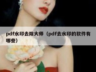 pdf水印去除大师（pdf去水印的软件有哪些）