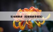 短视频脚步（短视频脚步策划）