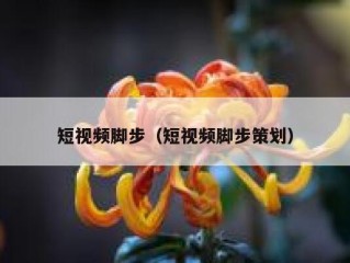 短视频脚步（短视频脚步策划）