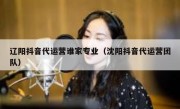 辽阳抖音代运营谁家专业（沈阳抖音代运营团队）