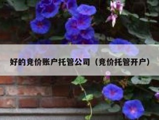 好的竞价账户托管公司（竞价托管开户）