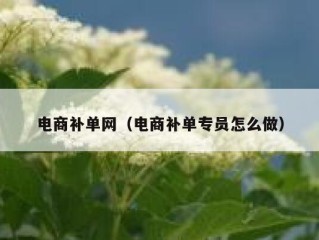 电商补单网（电商补单专员怎么做）