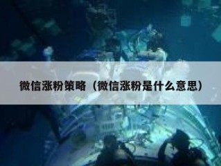 微信涨粉策略（微信涨粉是什么意思）