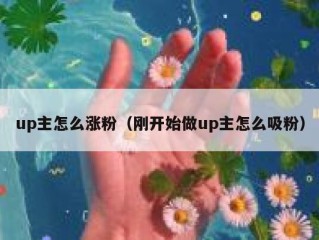 up主怎么涨粉（刚开始做up主怎么吸粉）