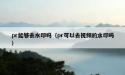 pr能够去水印吗（pr可以去视频的水印吗）