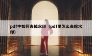 pdf中如何去掉水印（pdf里怎么去除水印）