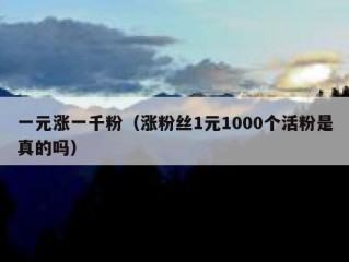 一元涨一千粉（涨粉丝1元1000个活粉是真的吗）