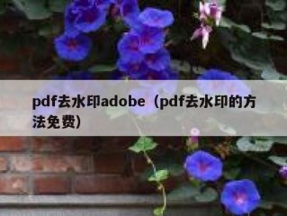 pdf去水印adobe（pdf去水印的方法免费）