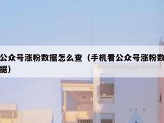 公众号涨粉数据怎么查（手机看公众号涨粉数据）