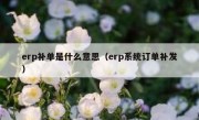 erp补单是什么意思（erp系统订单补发）