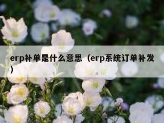 erp补单是什么意思（erp系统订单补发）