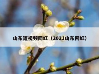 山东短视频网红（2021山东网红）