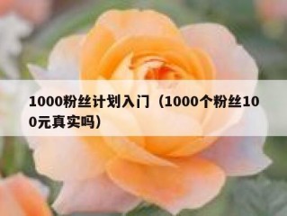 1000粉丝计划入门（1000个粉丝100元真实吗）